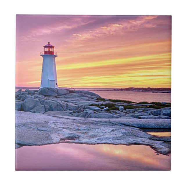 O depositário claro (Frente)