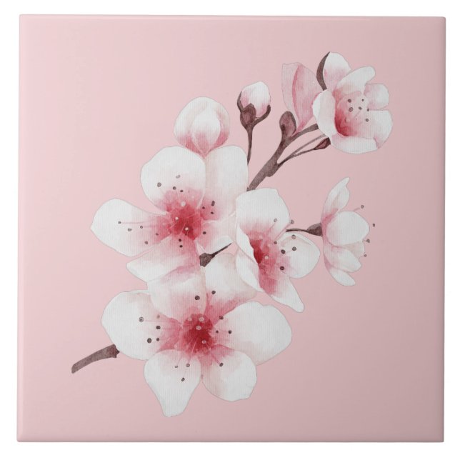 O Design da Série Okinawa 30 (Frente)