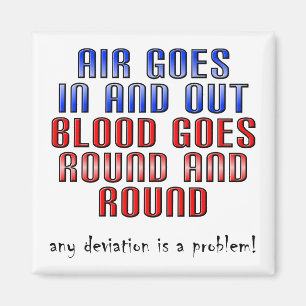 O desvio é uma imã de geladeira engraçada do