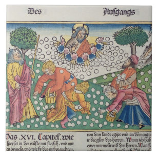 O deus 13-22 do êxodo 16 fornece codorniz e maná