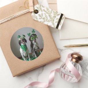 O dia de St Patrick persegue a etiqueta redonda do