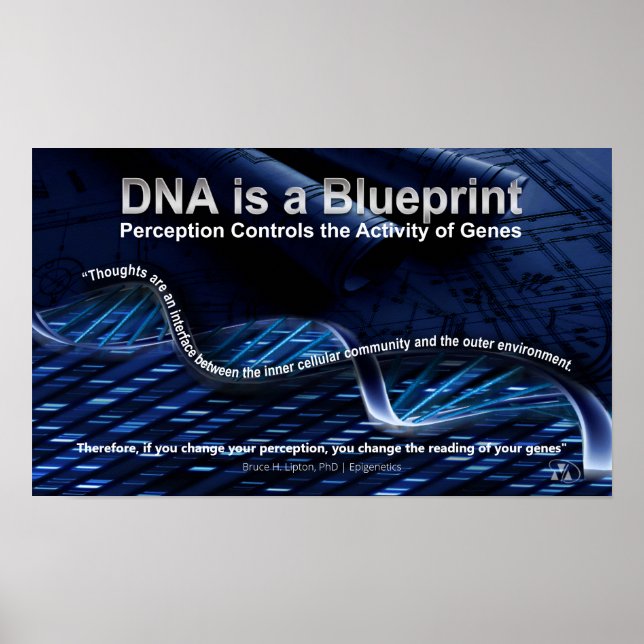 O DNA é um Poster de Blueprint (Frente)