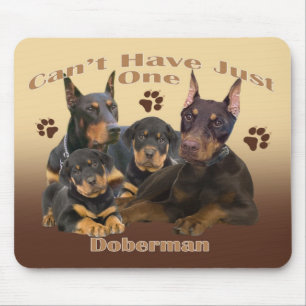 O Doberman não pode ter apenas um mousepad