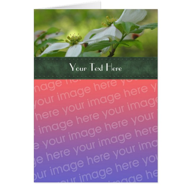 O Dogwood Branco Flói seu Cartão com fotos (Frente)