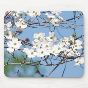 O Dogwood branco floresce o mousepad