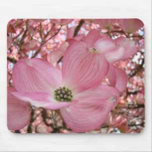 O DOGWOOD cor-de-rosa FLORESCE a MOUSE PADS