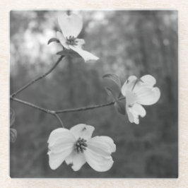 O "Dogwood floresce" arte original por KAS