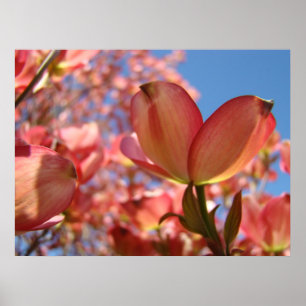 O DOGWOOD floresce uma arte de 4 posters dos