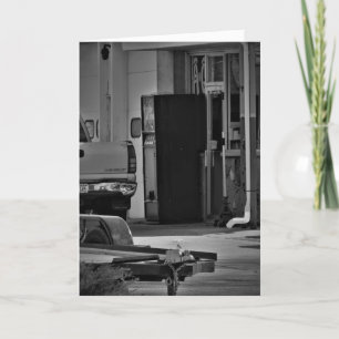 "O Doutor está às 10, 2 e 4" Cartão de Melhoras