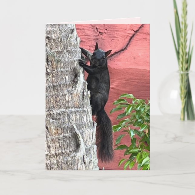 O Elusivo Esquilo Negro Dobrou o Cartão (Frente)