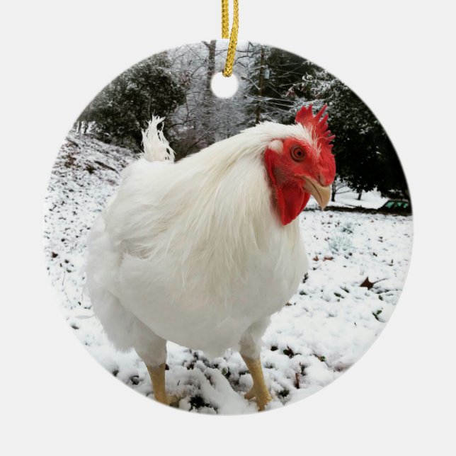 O Enfeites de natal Real Boo do Roo (Frente)