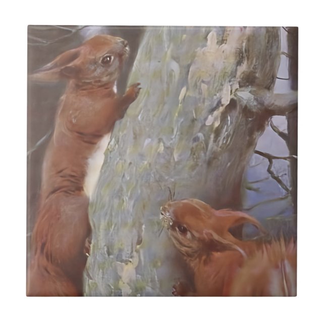 O ESQUILO (Sciurus vulgaris) (Frente)