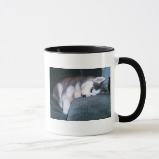 O filhote de cachorro dorme caneca