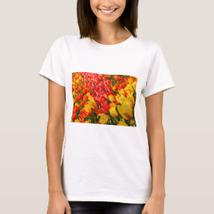 O FLORESCIMENTO DE TULIPAS EM UMA CAMISA DE PARQU