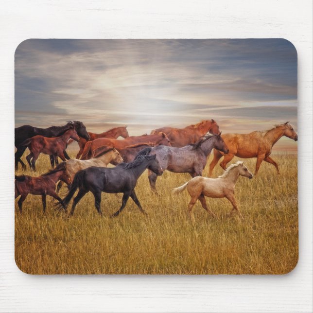 O funcionamento Mousepad da última luz (Frente)