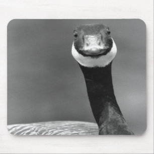 O ganso curioso Mousepad