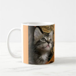 O gatinho "mantem-se olhar acima!" Caneca