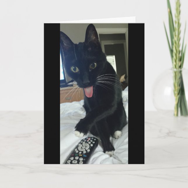 o gato Cartões de agradecimentos engraçado oculta  (Frente)