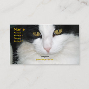 O gato com ouro Eyes o cartão de visita