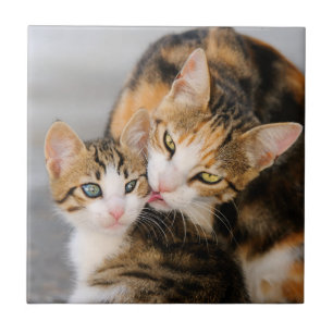 O gato da mãe ama o gatinho bonito, cerâmico
