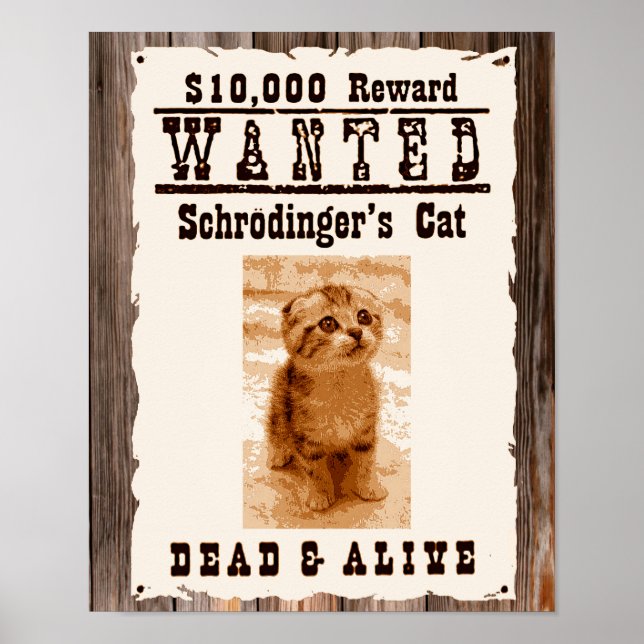 O gato de Schrodinger queria poster (Frente)
