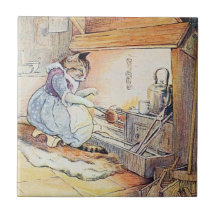O gato do bichano senta-se pelo fogo