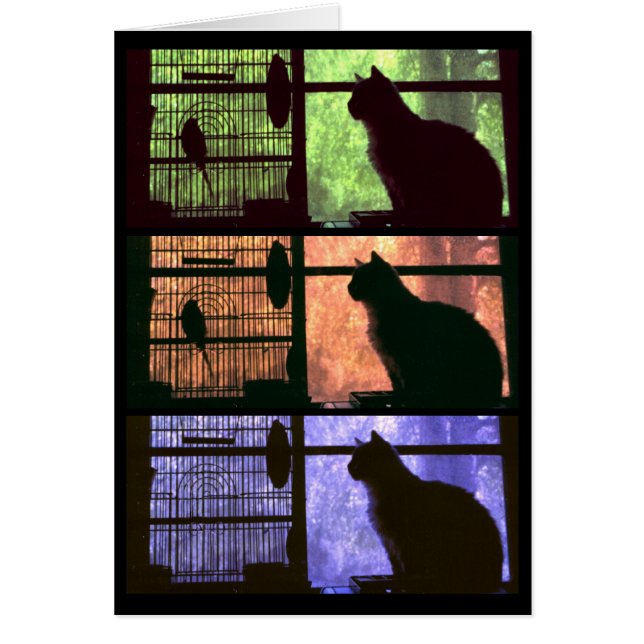 O Gato e o Pássaro - Cartão (Frente)