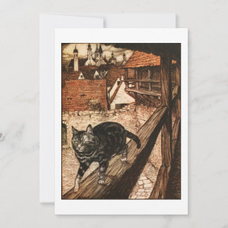 O gato e o rato em parceria