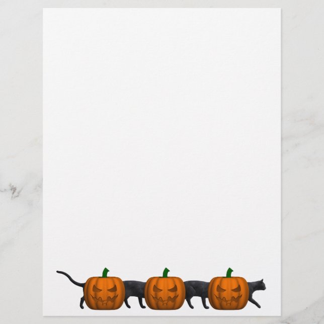 O Gato Mais Longo do Mundo (Frente)