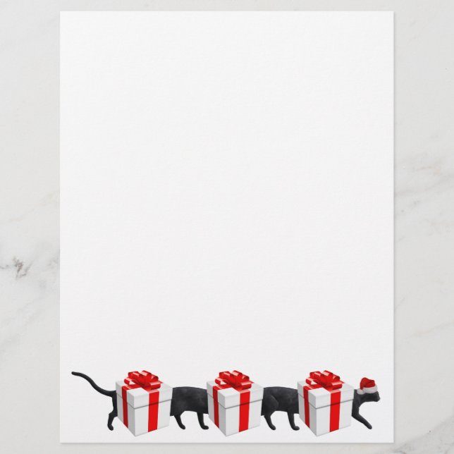 O Gato Mais Longo do Mundo (Frente)