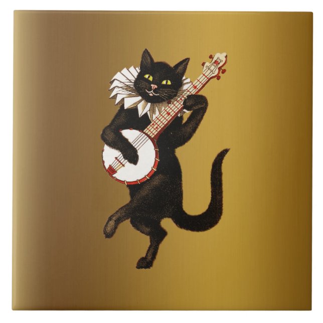 O Gato Musical, (Frente)