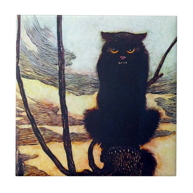 O Gato Negro (Frente)