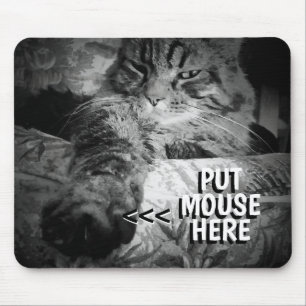 O gato quer o seu mouse Meme Mouse Pad