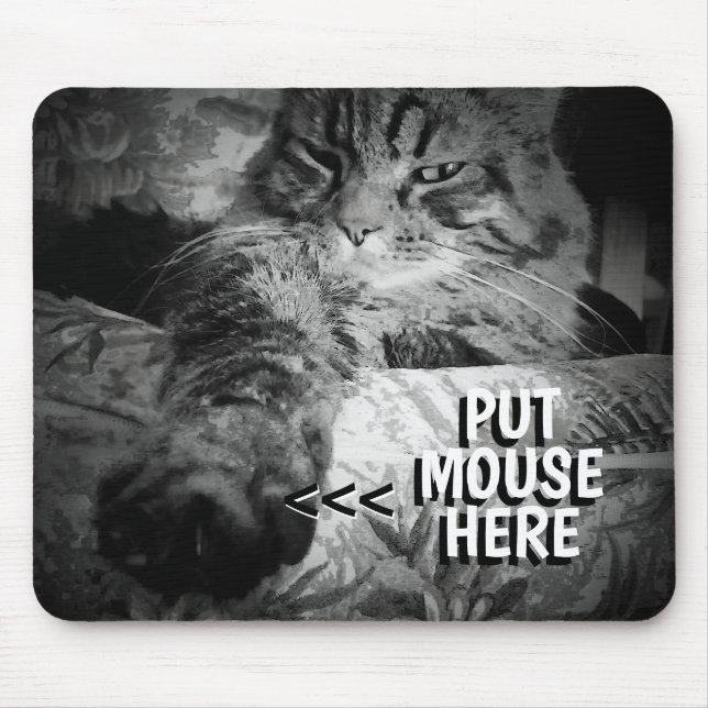 O gato quer o seu mouse Meme Mouse Pad (Frente)