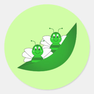 O gêmeo de SweetBee Bumble a etiqueta das abelhas