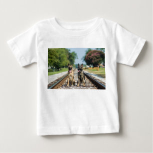 O german shepherd caçoa a camisa