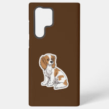 O 🐾 giro do Dachshund| 📱 S23|
