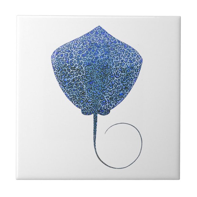 O grande abismo (Frente)