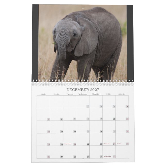 O Grande Calendário do Quênia (Dez 2027)