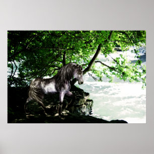 O grande poster da partilha do rio