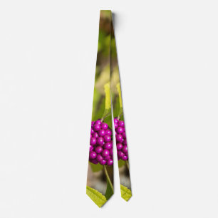 O Gravata American Beautyberry