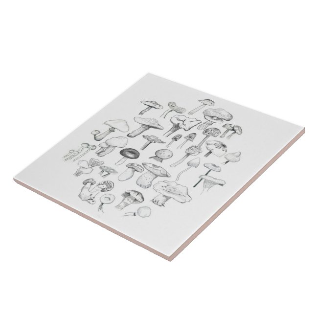 O grupo do cogumelo (Lateral)