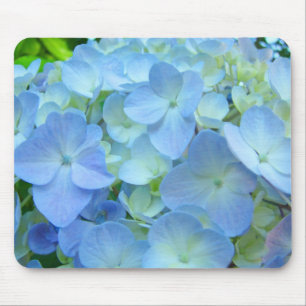 O Hydrangea Pastel azul floresce os mousepads
