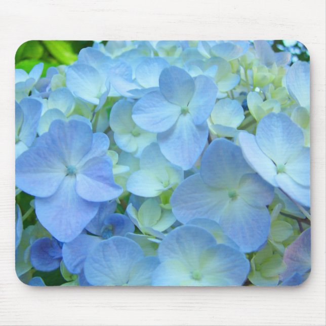 O Hydrangea Pastel azul floresce os mousepads (Frente)
