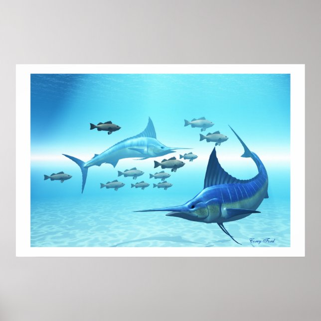 O IMPRESSÃO DO CÍRCULO (Frente)