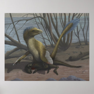 O Impressão do Riverbank Aptian