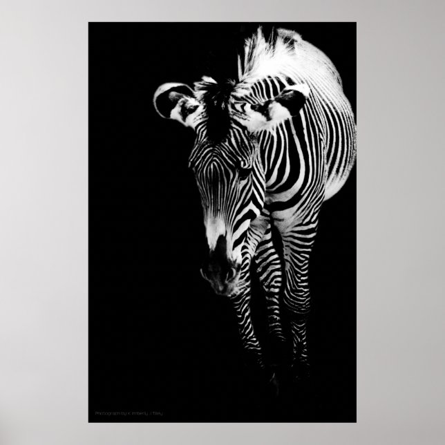 O Impressão Imperial (Frente)