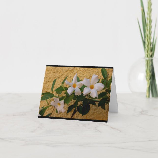 O italiano floresce o cartão de nota (Frente)