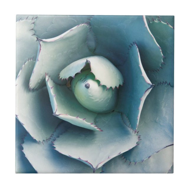 O Jardim Botânico de Huntington (Frente)