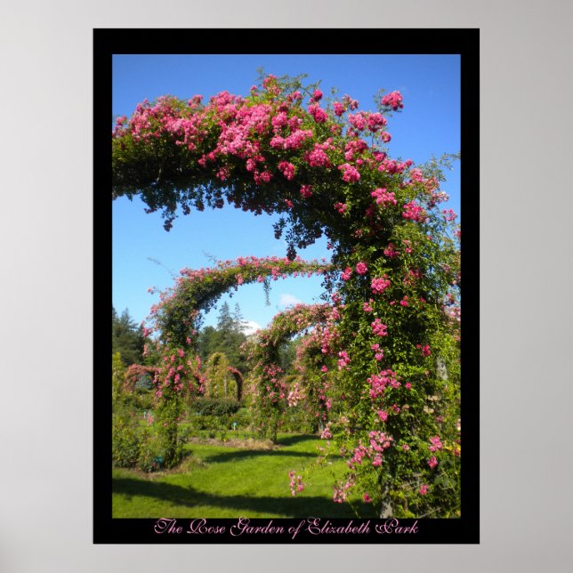 O Jardim Rosa de Elizabeth Park Poster (Frente)